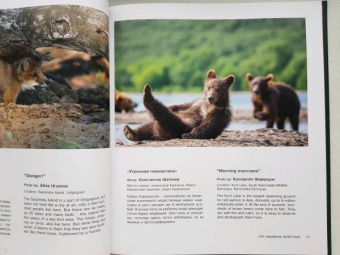 Россия - самая красивая страна. Фотоконкурс 2020