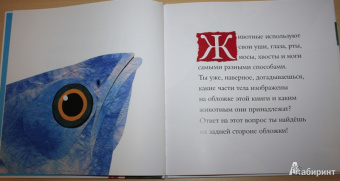 Дженкинс, Пейдж: Про хвосты, носы и уши. Интересные факты о животных