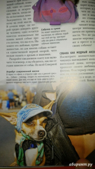Брюс Фогл: Собаки. Полная энциклопедия