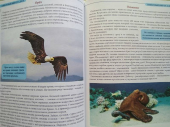 Людмила Соколова: Животный мир от А до Я