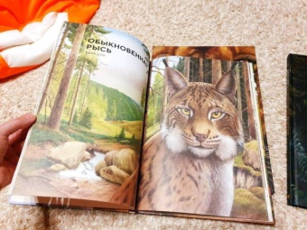 Хольгер Хааг: Лесные животные в натуральную величину