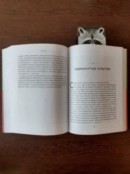 Дэвид Эпштейн: Универсалы. Как талантливые дилетанты становятся победителями по жизни