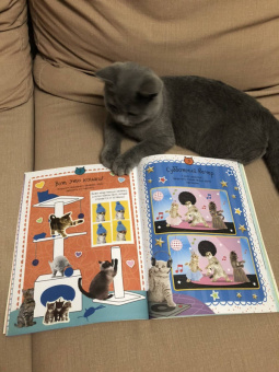 Мой милый котенок