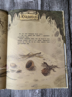 Хань Чон: Кто украл орехи?