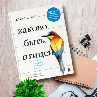 Дэвид Сибли: Каково быть птицей. О полетах и гнездовании, кормлении и пении. Как и чем живут самые известные птиц