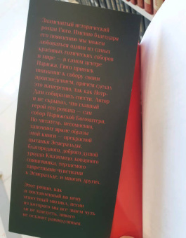 Виктор Гюго: Собор Парижской Богоматери