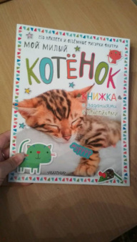 Мой милый котенок