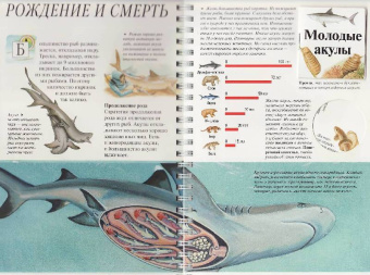 Джон Вудвард: Дискавери:  Акулы и другие хищники