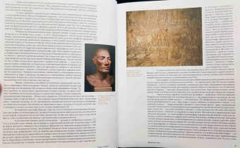 Нина Дмитриева: Краткая история искусств. с древнейших времен до начала XX века