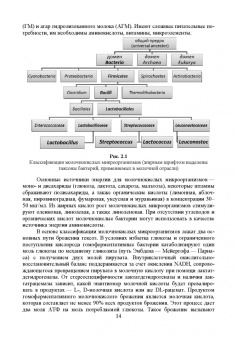 Рябцева, Ганина, Панова: Микробиология молока и молочных продуктов. Учебное пособие