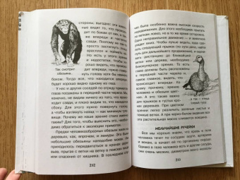 Алексей Пахневич: Увлекательная анатомия