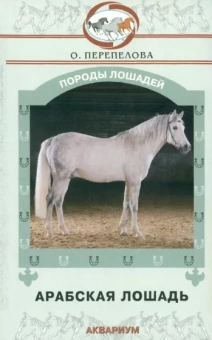 Ольга Перепелова: Арабская лошадь