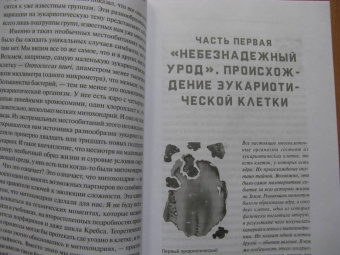 Ник Лэйн: Митохондрии и смысл жизни. Энергия, секс, самоубийство