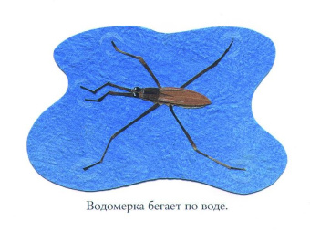 Дженкинс, Пейдж: Про хвосты, носы и уши. Интересные факты о животных