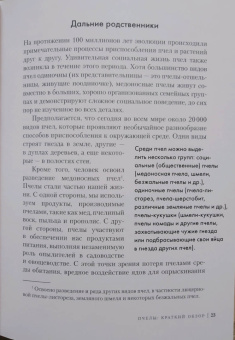 Фридрих Хайнбух: Пчелы. Что человек и пчела значат друг для друга
