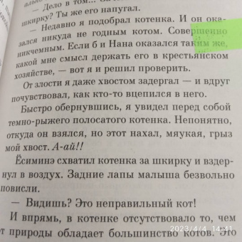 Хиро Арикава: Хроники странствующего кота