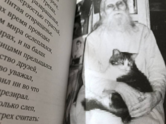 Людмила Ильюнина: Роднуша моя. Книга стихов старца Н. Гурьянова