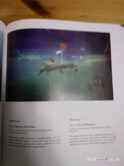 Россия - самая красивая страна. Фотоконкурс 2018