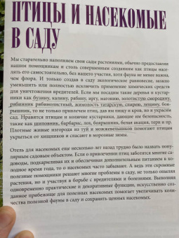 Татьяна Шиканян: Ландшафтный дизайн