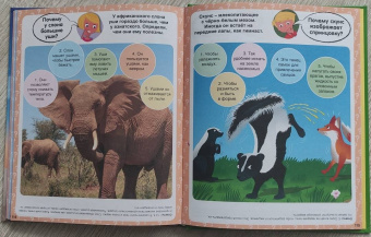 Кэти Франко: Почему? 100 вопросов и ответов в картинках