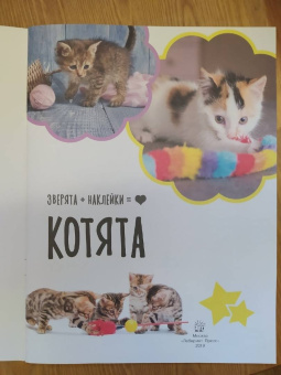 Зверята + наклейки. Котята