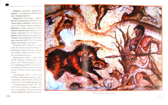 Олег Малов: Охота на парнокопытных