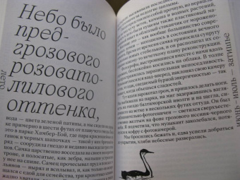 Кио Маклир: Птицы, искусство, жизнь. Год наблюдений