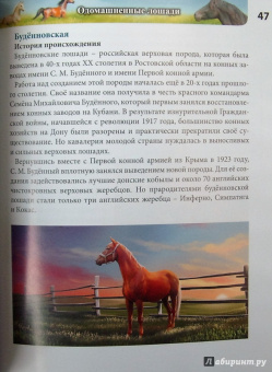 Леся Калугина: Хочу знать. Лошади