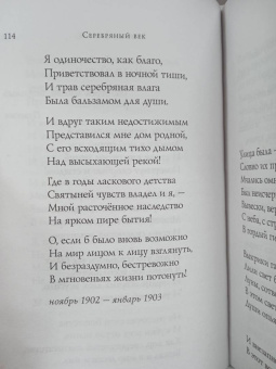Блок, Бальмонт, Брюсов: Серебряный век. Стихотворения