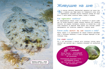 Морские животные