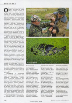 Журнал "Вокруг Света" №11 (2818). Ноябрь 2008