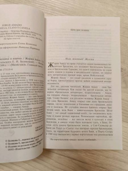 Жоржи Амаду: Габриэла, гвоздика и корица