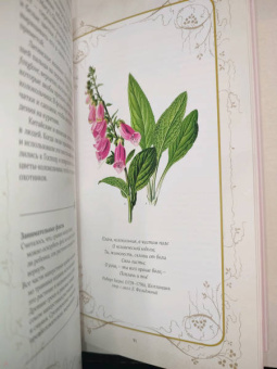 Дэвис, Сондерс: Тайный язык цветов