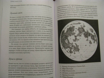 Тристан Гули: Компас внутри. Как не заблудиться в лесу, выследить животных, предсказать погоду