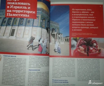 Робинсон, Уолкер, Кон: Израиль и палестинские территории