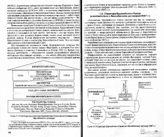Основы права европейского союза. Схемы и комментарии