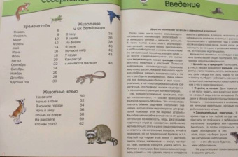 Большая книга времен года