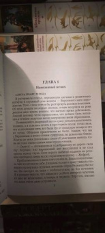 Ирина Снегирева: Отмените свадьбу, лорд или Только ты