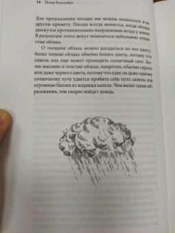Петер Вольлебен: Тайные знаки природы. Как стать погодным детективом и читать приметы