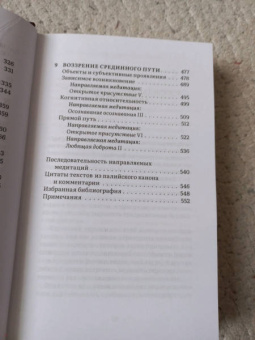 Ален Уоллес: Внимаем пристально. Четыре применения памятования