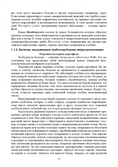 Зейрук, Гаспарян, Белов: Болезни, вредители и сорные растения картофеля. Учебное пособие для СПО