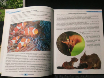 Людмила Соколова: Что? Где? Почему?