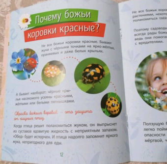 Анна Булгакова: Насекомые