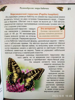 Людмила Соколова: Энциклопедия. Бабочки