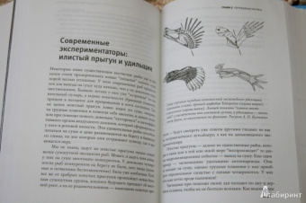 Марков, Наймарк: Эволюция. Классические идеи в свете новых открытий
