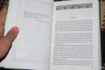 Крис Эванс: Хроники железных эльфов. Книга 1. Тьма, выкованная в огне