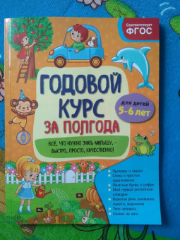 Анна Горохова: Годовой курс за полгода. Для детей 5-6 лет