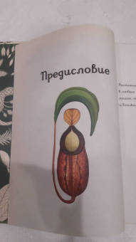 Кэти Уллис: Ботаникум