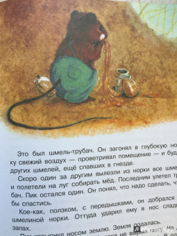 Виталий Бианки: Сказки