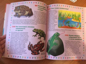 Тамара Скиба: Животный мир. Энциклопедия маленького почемучки